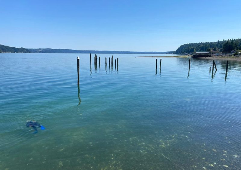 Explore our Hoodsport WA Resort on the shores of Hood Canal