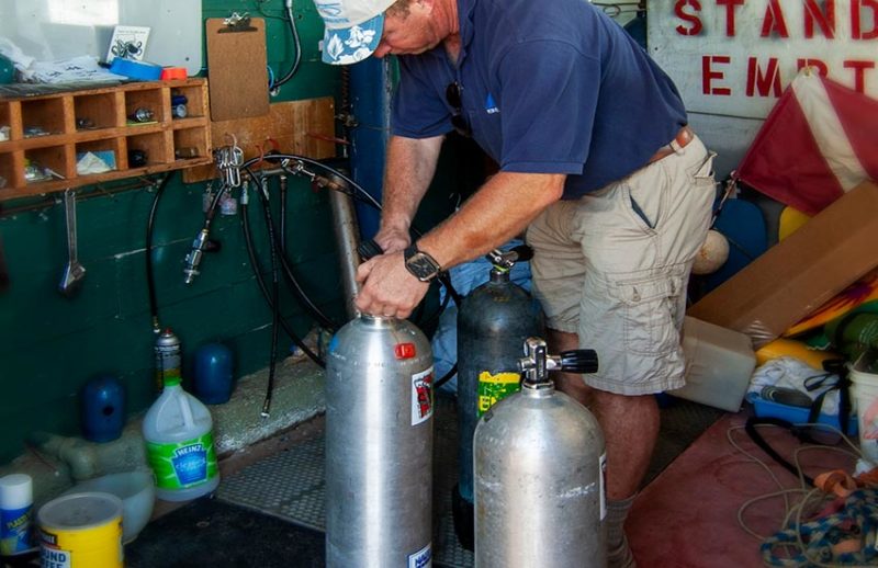 Explore our Hoodsport WA Resort on the shores of Hood Canal