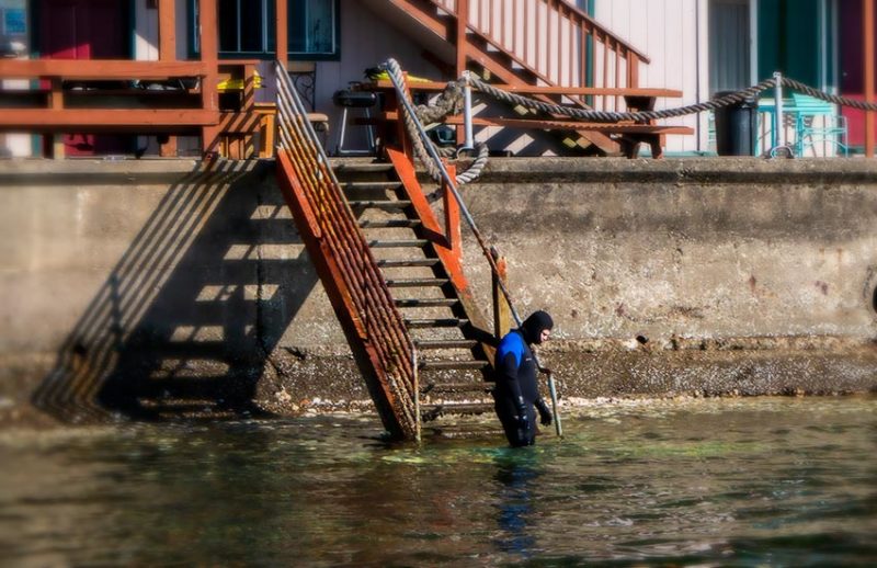 Explore our Hoodsport WA Resort on the shores of Hood Canal