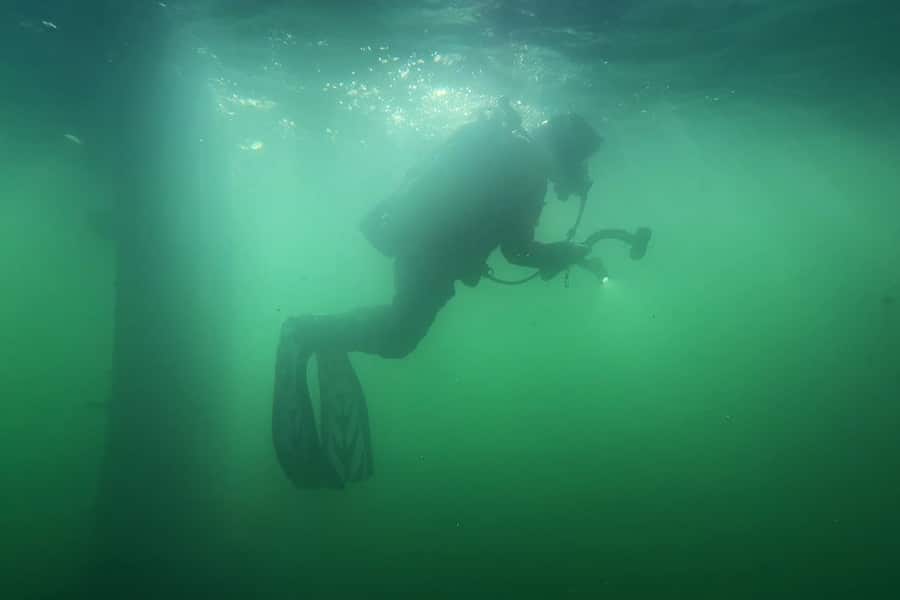 Surface Diver